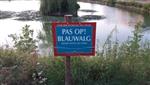 Blauwalg